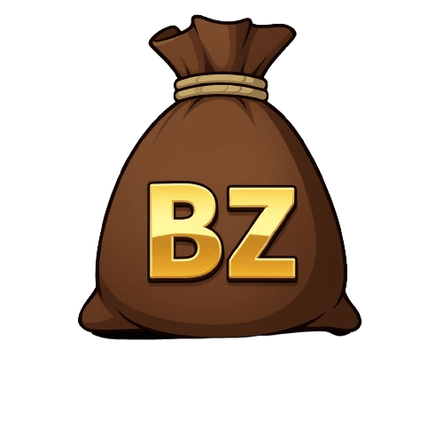 Bazaar Coin Bag